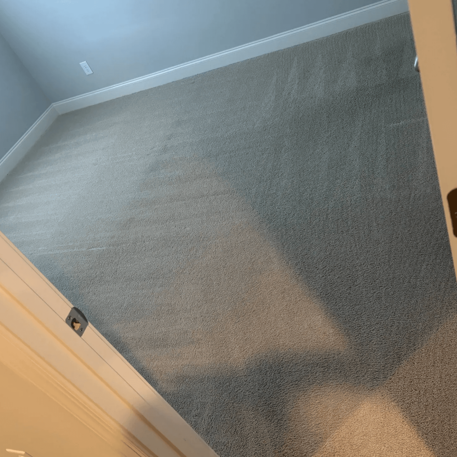 Carpet cleaning in Chapel Hill, TN