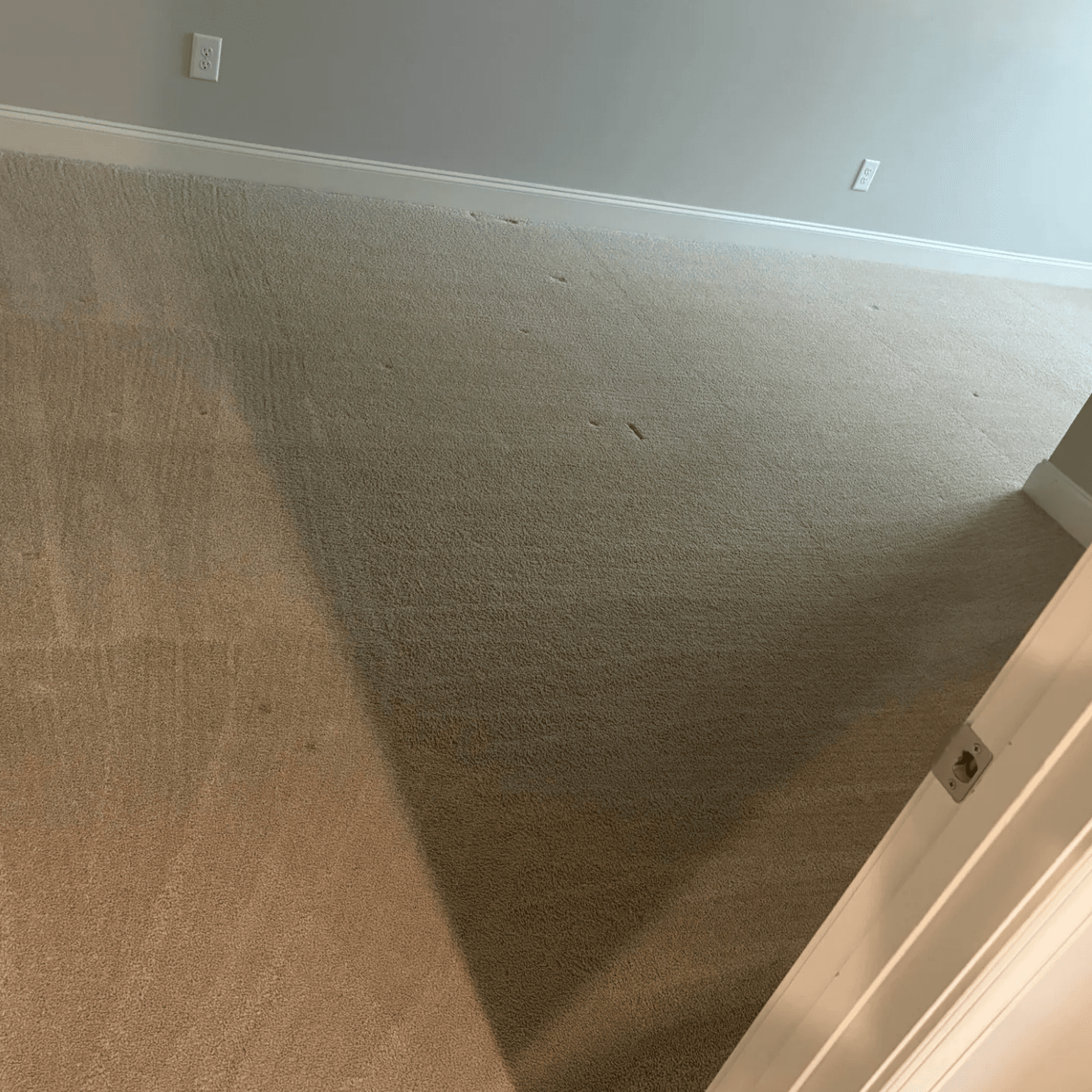 Carpet cleaning in Spring Hill, TN