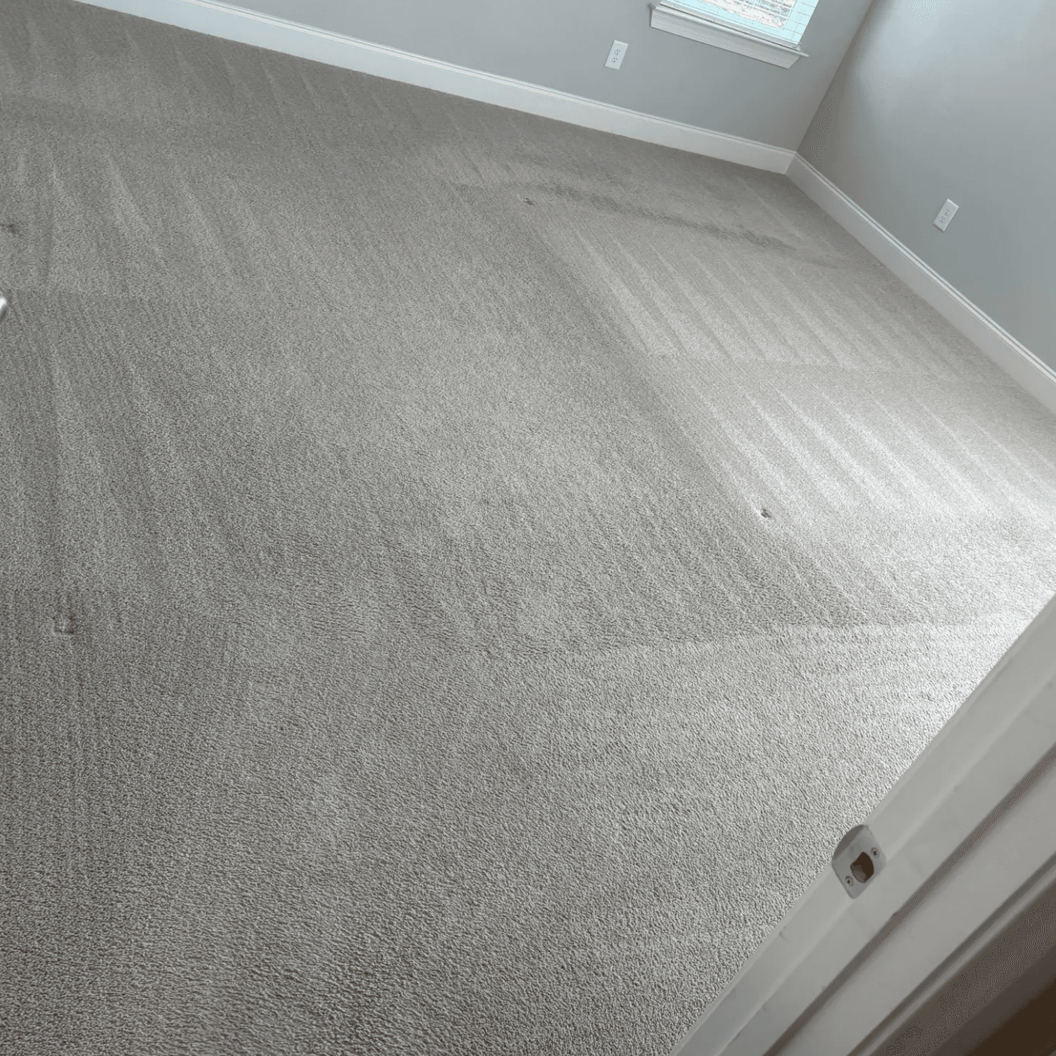 Carpet cleaning in Thompson's Station, TN
