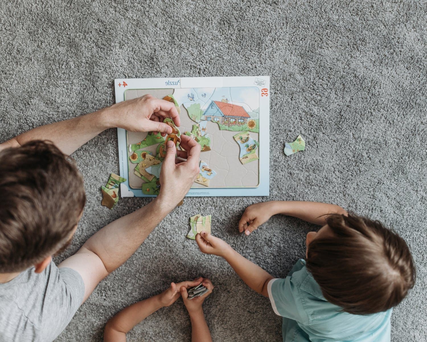 How Often Should You Schedule Professional Carpet Cleaning?