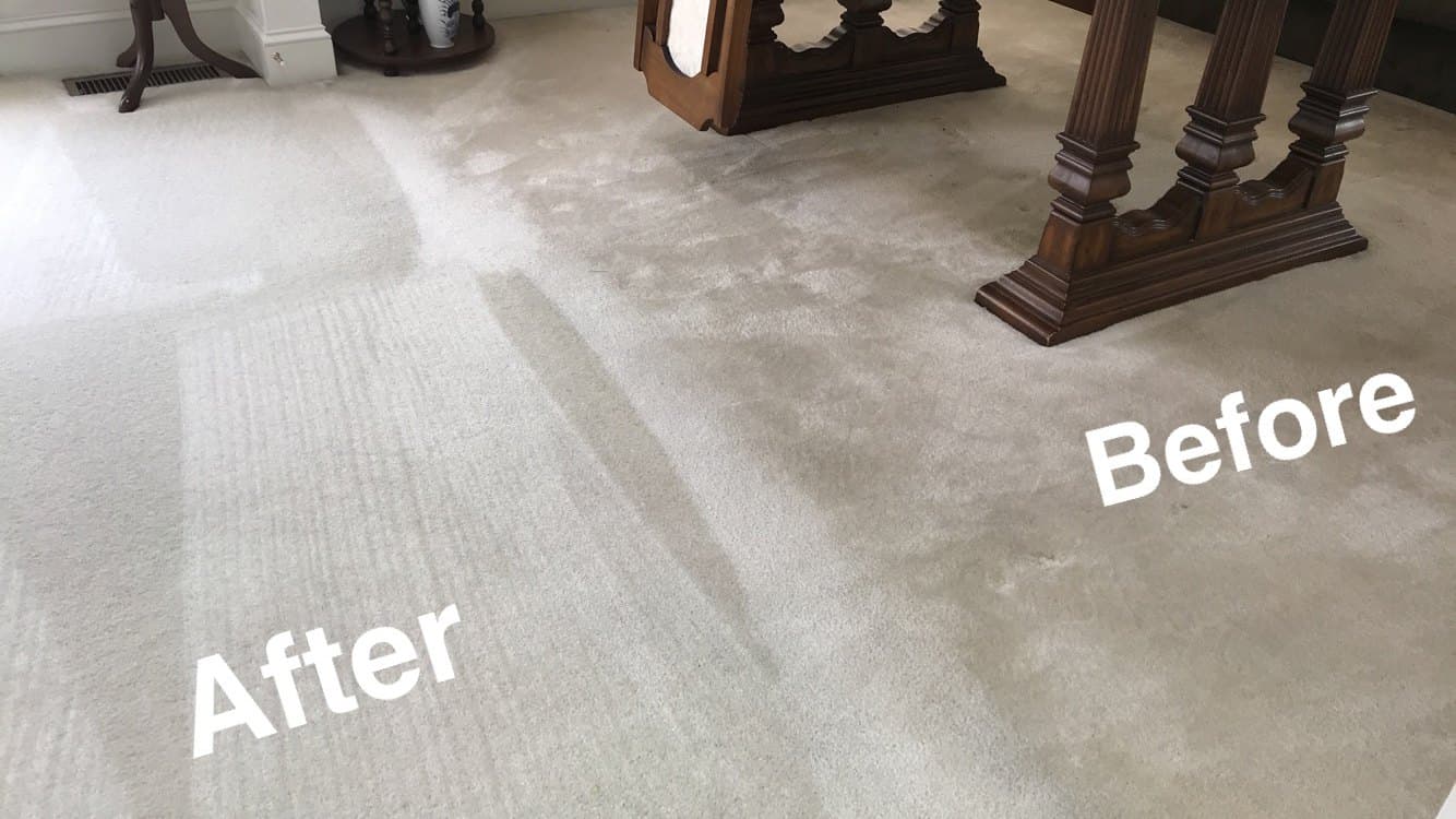 Pet Odor and Stain Removal That Actually Gets Rid of the Problem