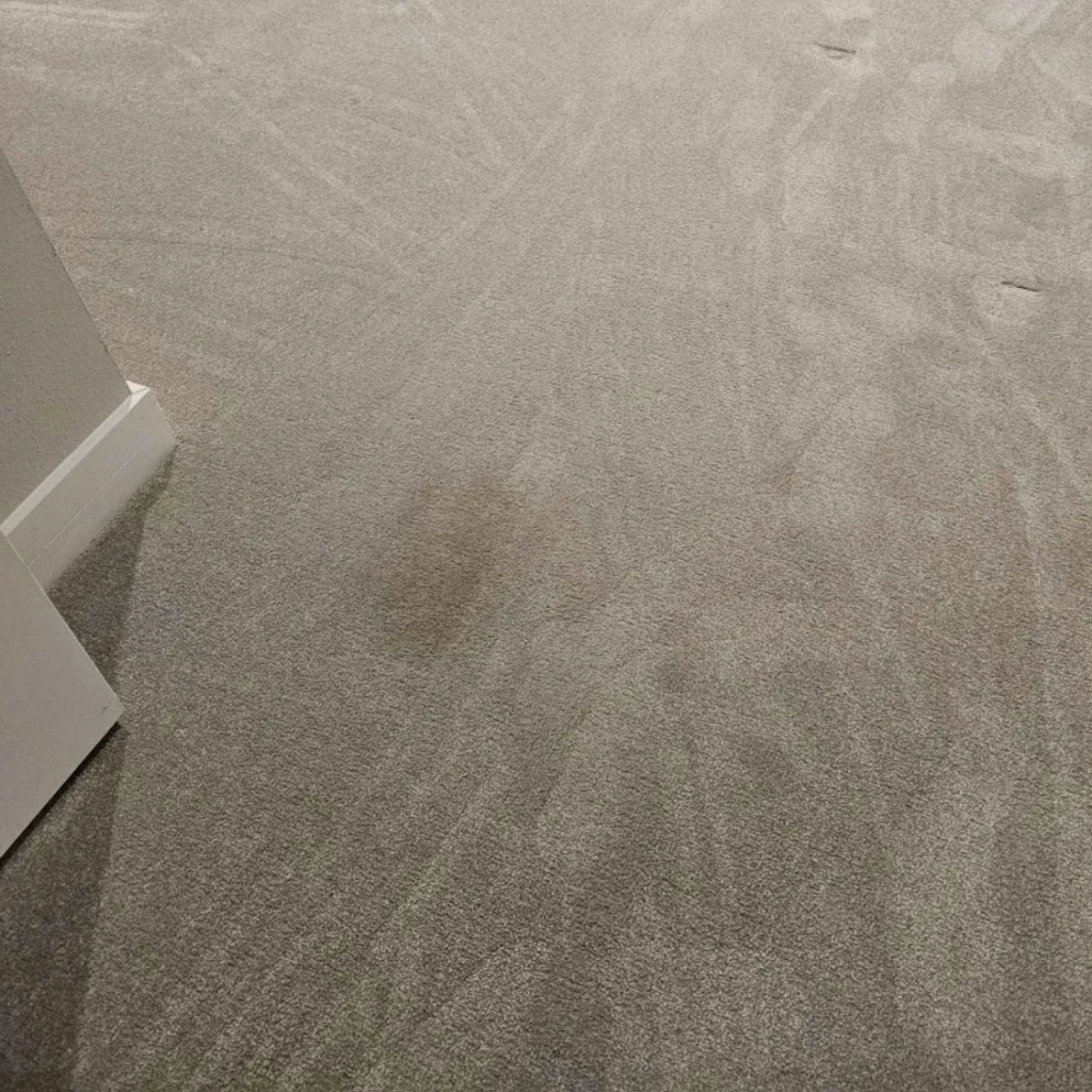 Pet stain on carpet